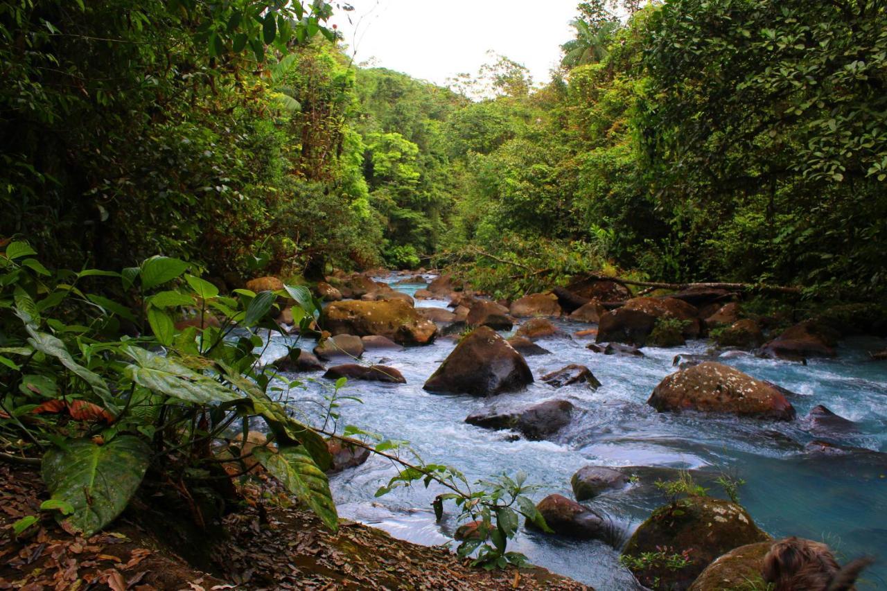 Rio Celeste Nature View Upala Ngoại thất bức ảnh